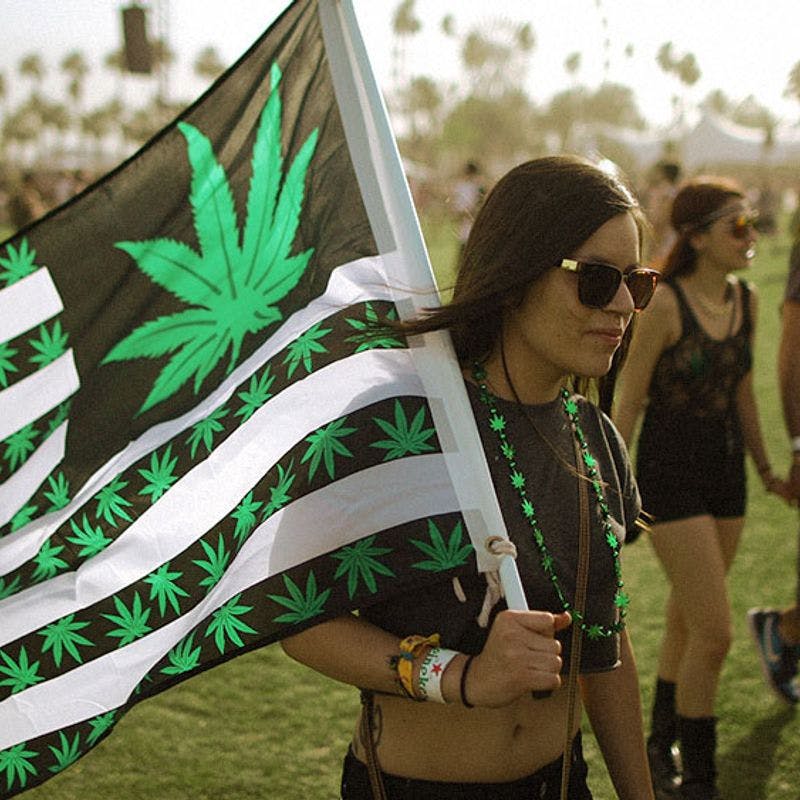 The Cannabis Events You Should Know About