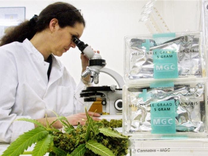 What to Know About Cannabis Lab Testing – Its Usefulness and More