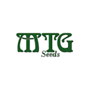 MTG Seeds